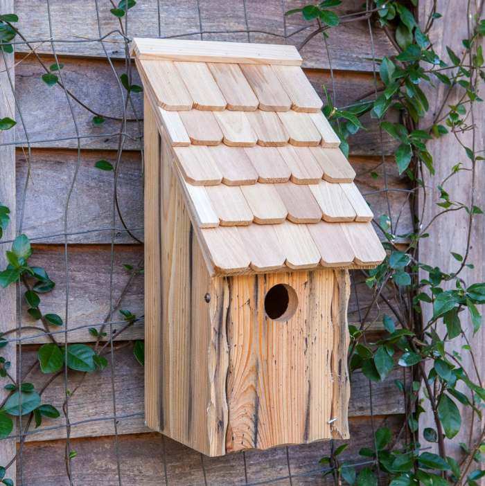 Bluebird Bunkhouse Bird House Natural